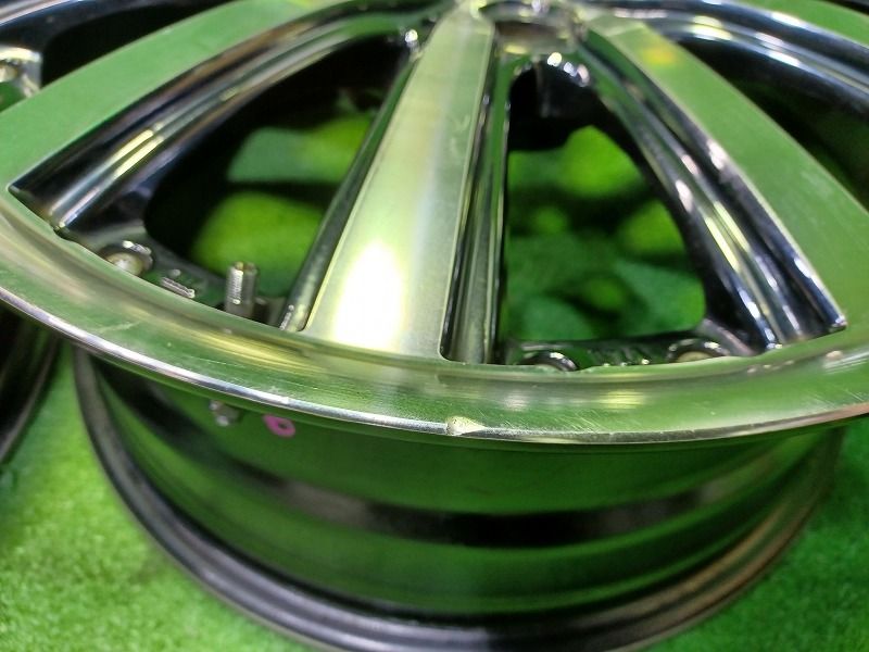 シュタイナー ﾔﾘｽｸﾛｽ