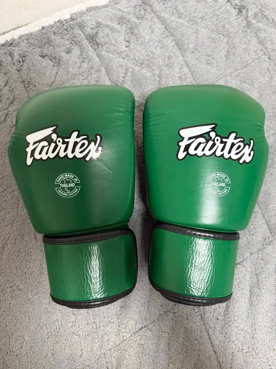 ウサギの内科学ノ-ト