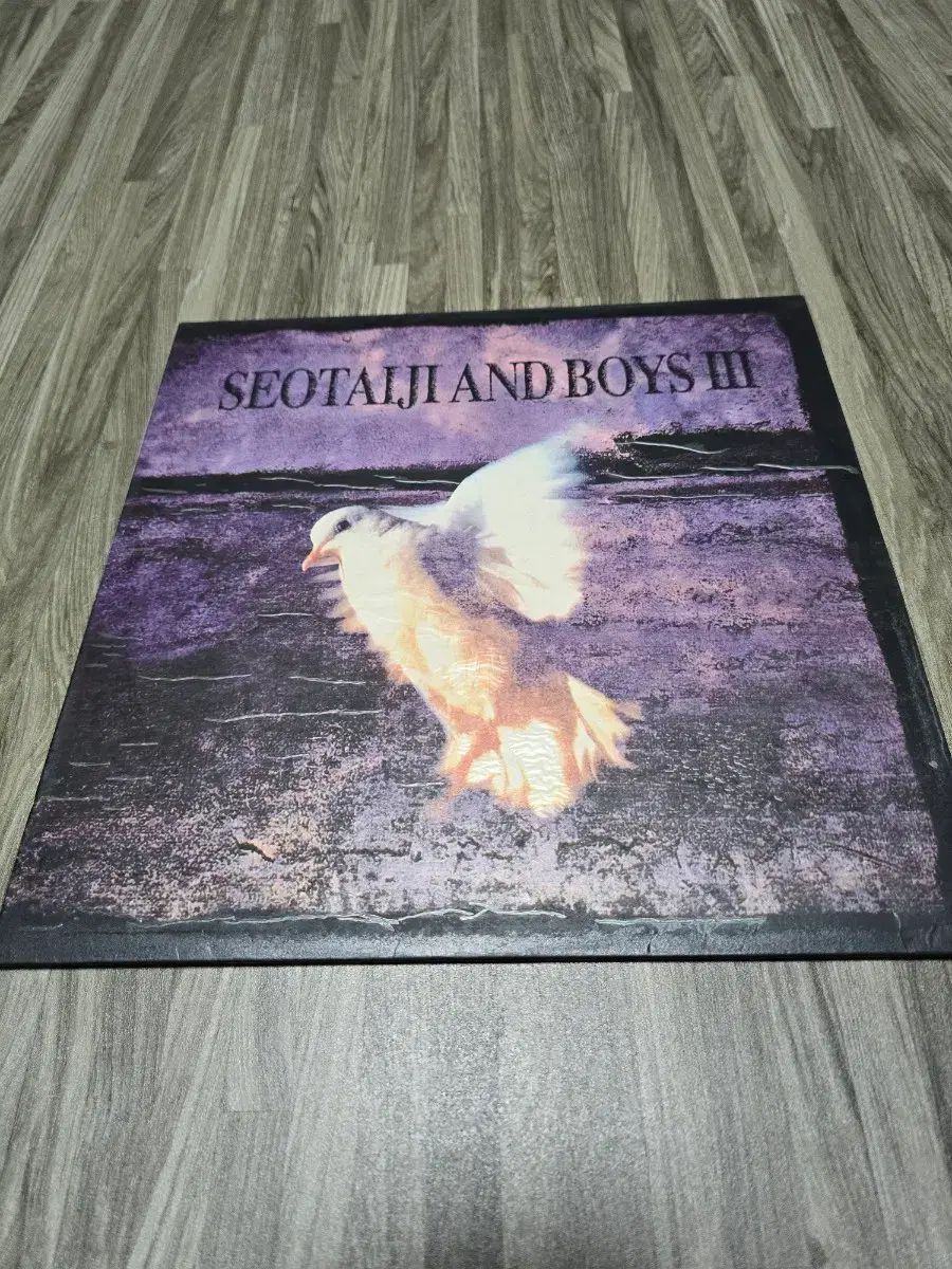 ソ テジと子供たち lp 2 家 3 まとめ売り