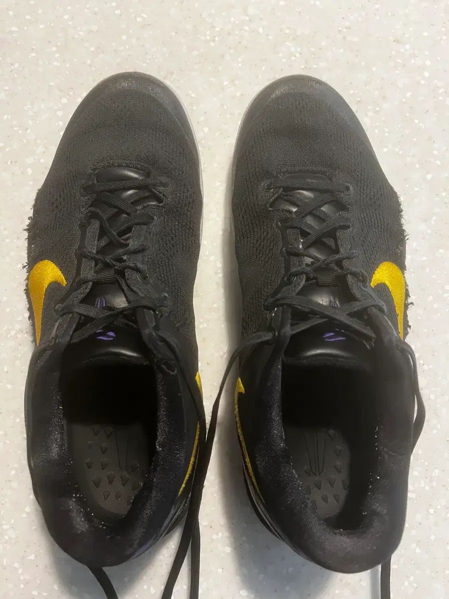 タントラ: 狂気の知慧