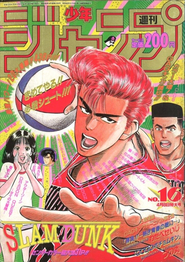 トップ santa monica Tシャツ サンタクルーズ sims vision