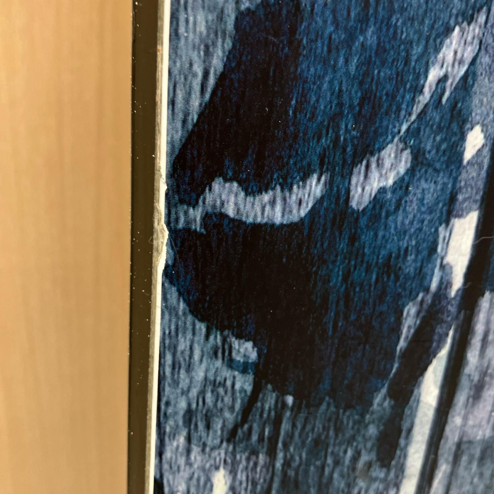 NOVMBR スノーボード 154 cm WHITELIVE ネイビー オールマウンテン ディレクショナル ワックス済