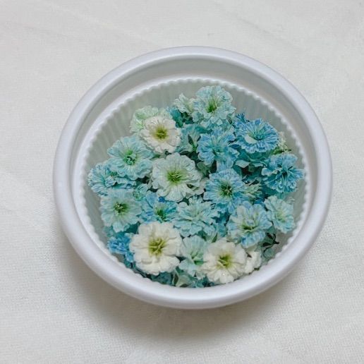 ブルー系 かすみ草ドライフラワー100粒 - メルカリ