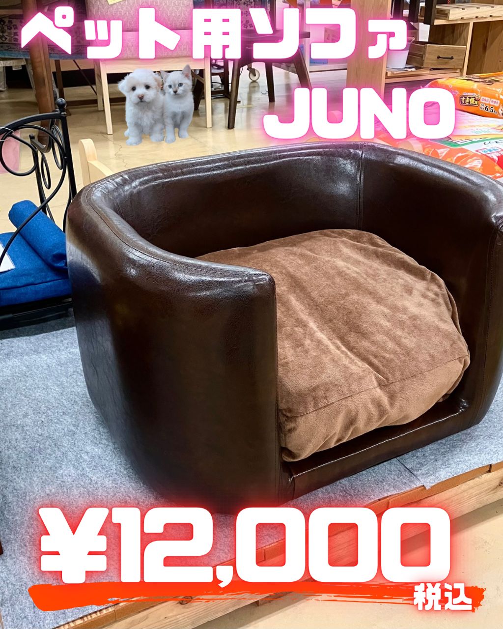 ペットソファＪＵＮＯ ペット家具