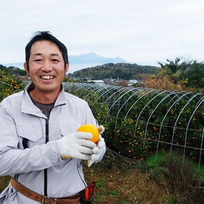 【希少品】トランヴェール特製オレンジカード　12種セット 販売済み かつては皇室献上品）熊本産 網田ネーブルオレンジ 秀品 2L