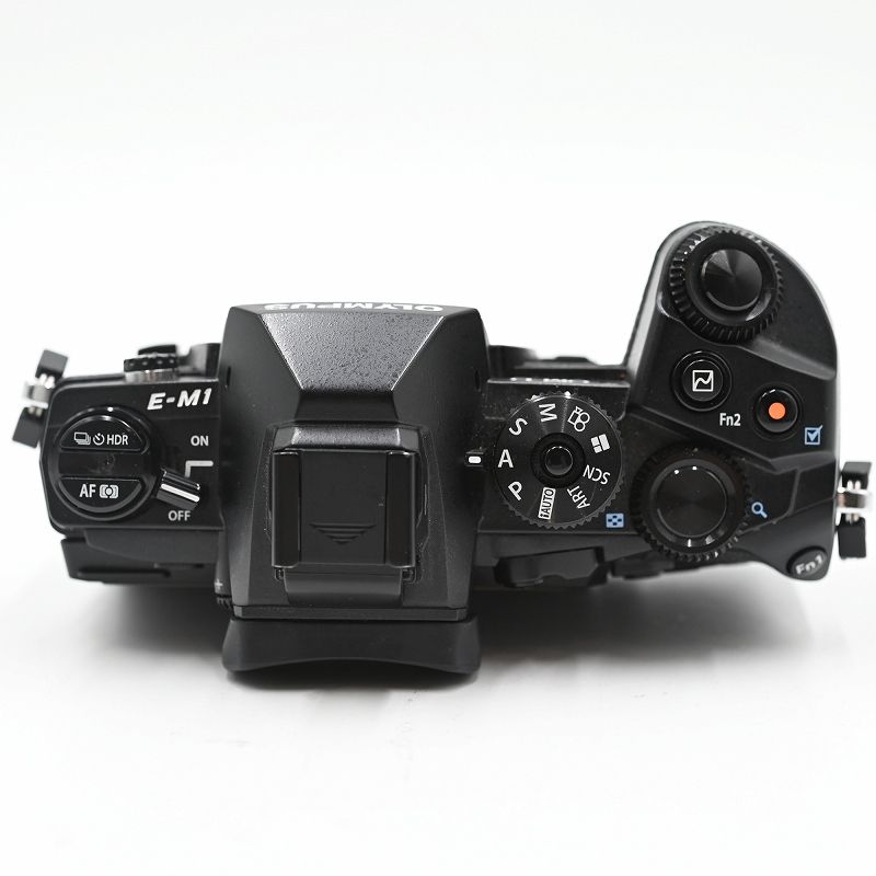 ボディブラック