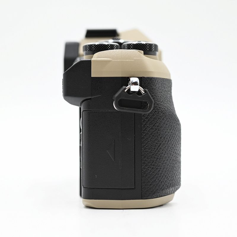 ショット数 ミラーレス一眼レフカメラ