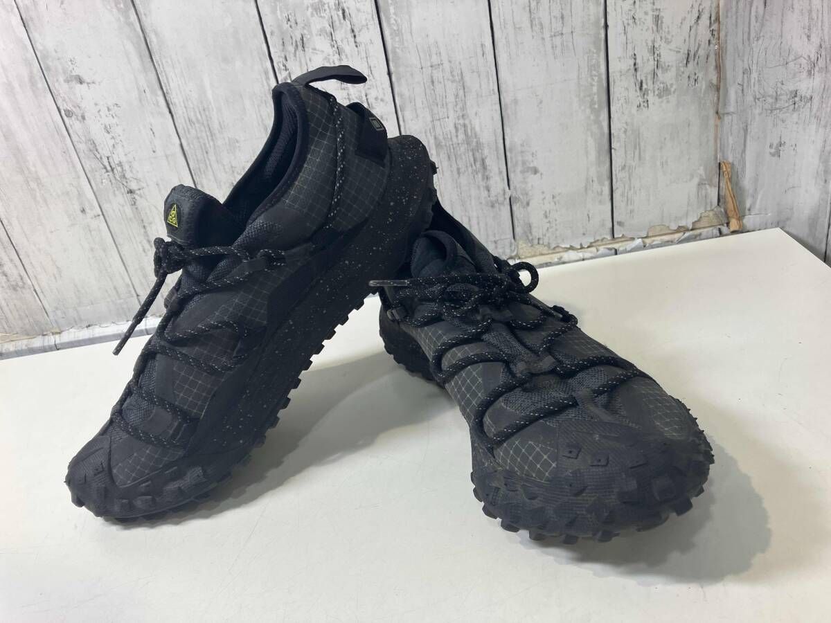 NIKE ACG MOUNTAIN FLY LOW SEGORE-TEXゴアテックスナイキ ACG