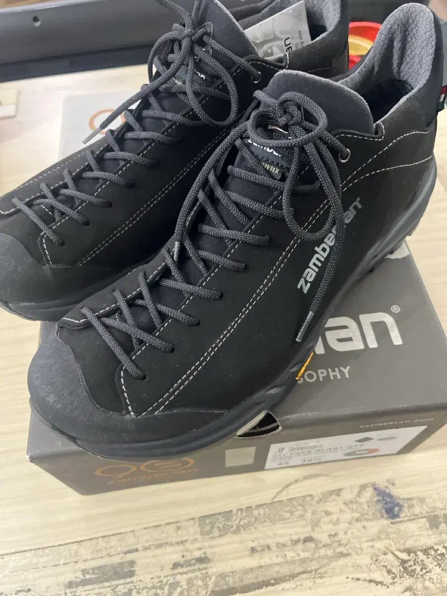 ザン ン フリーブラスト GTX EU 45 US 10 5