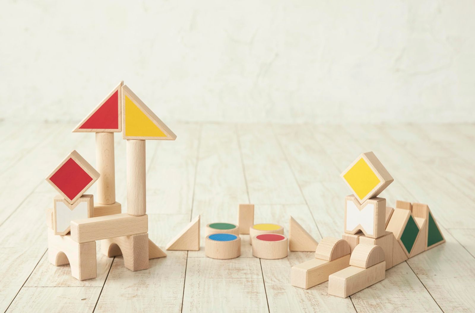 ニチガン いろかたち