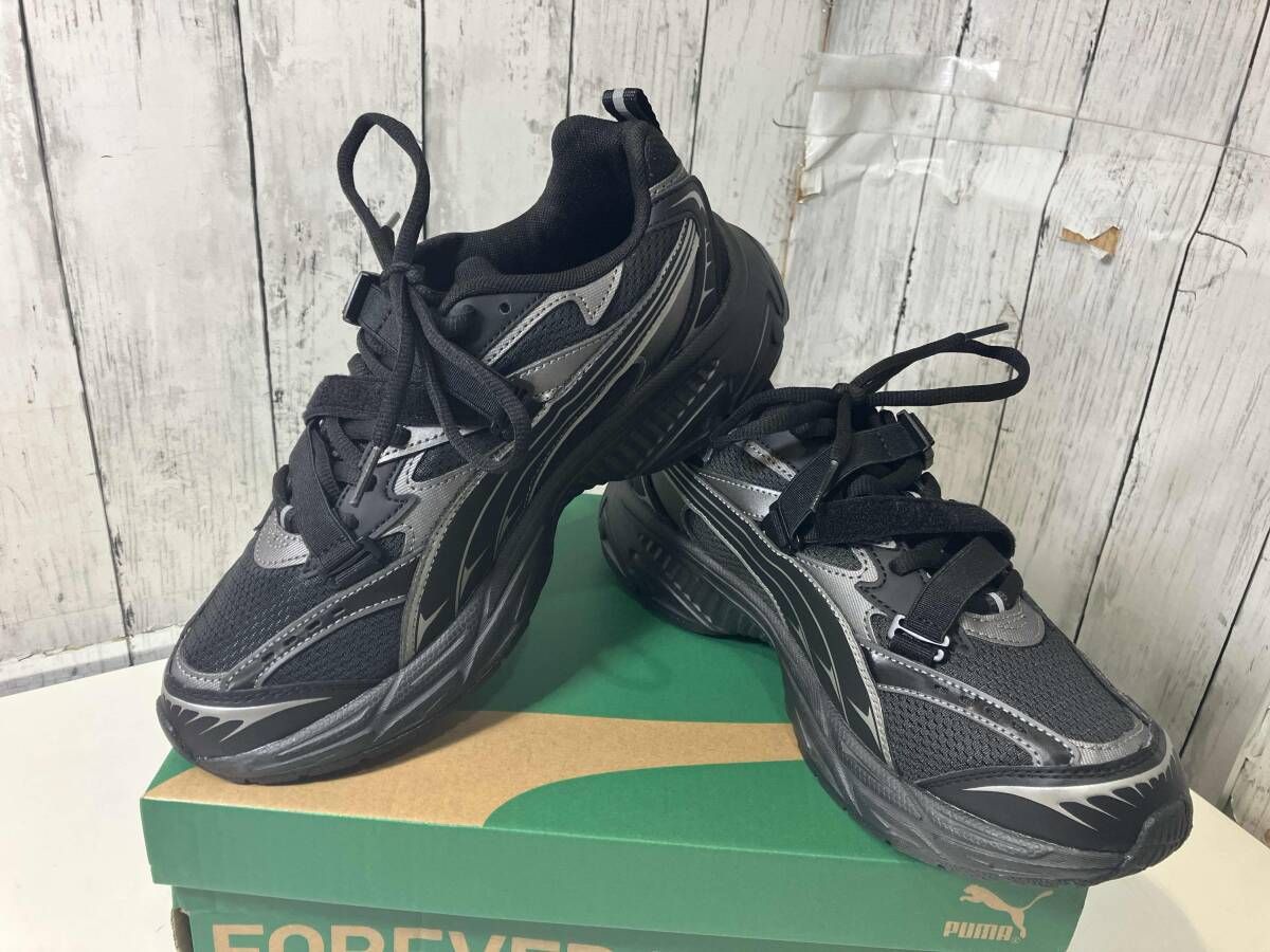 掛け軸 信濃の国 浅井洌 紙本 最高 共箱 長野県歌 軸装 掛軸