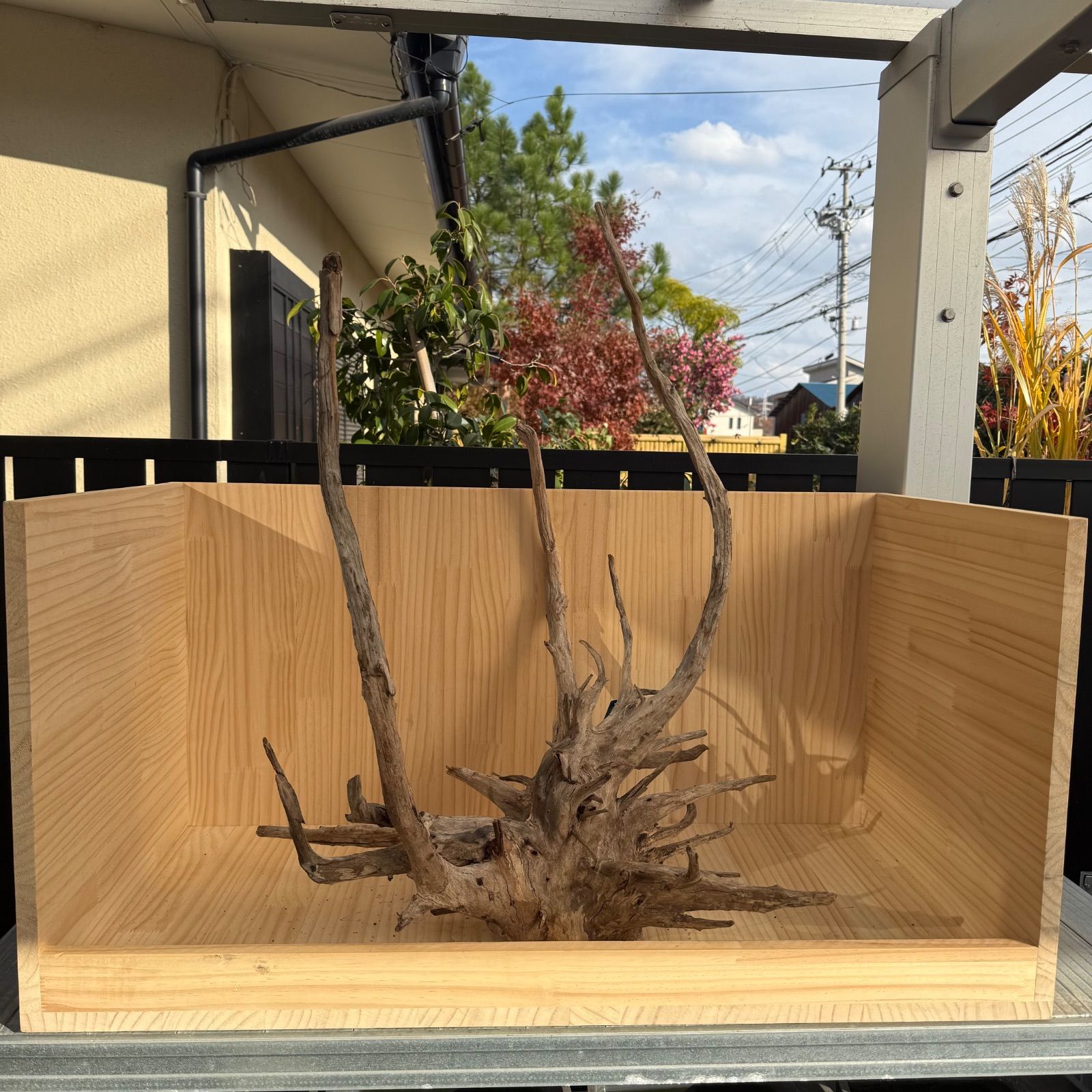 セレクト流木（現物発送）112702 - メルカリ