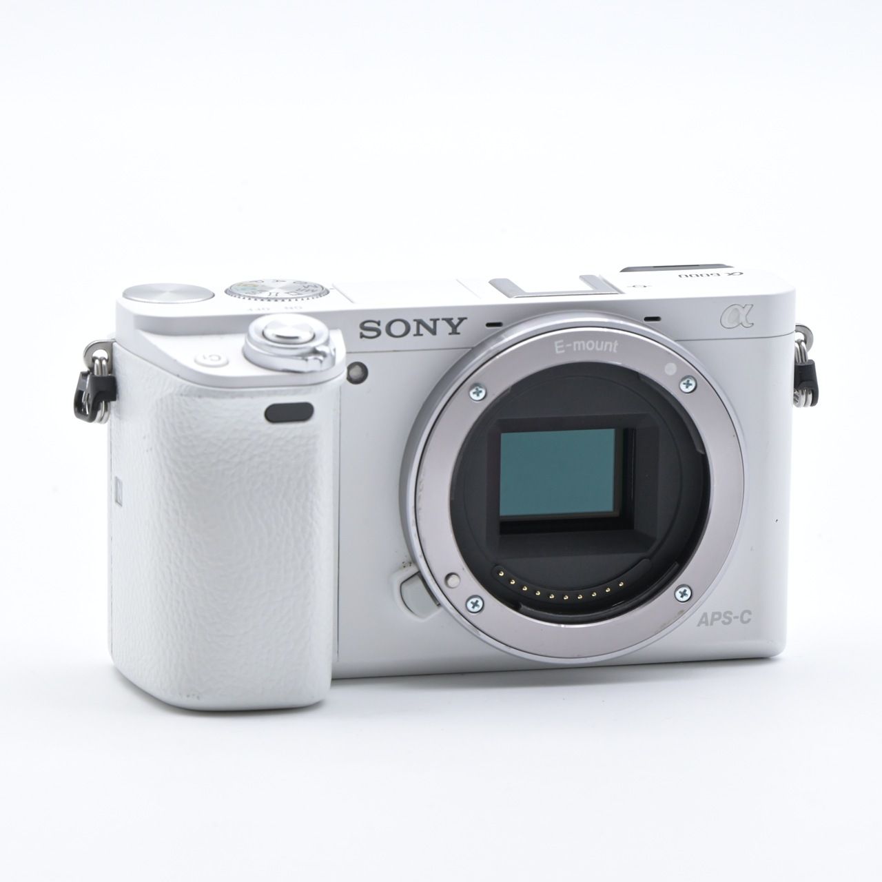 6000 ミラーレス一眼レフカメラ