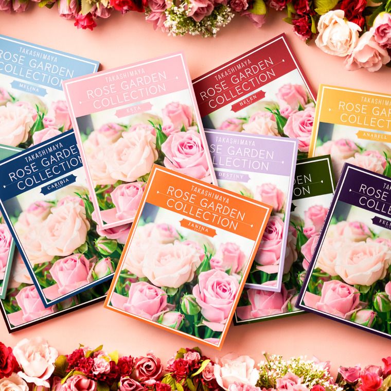 法人事業部 セレクト