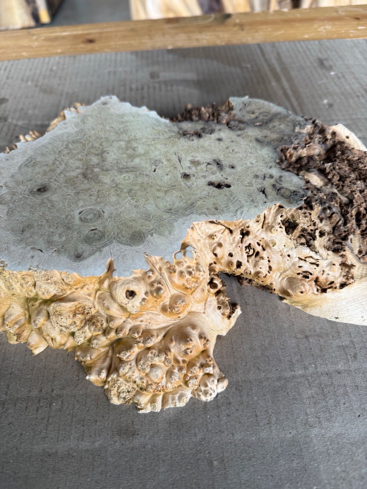  ニセアカシア 輪切材 銘木 無垢材 一枚板 ウッドプレート 花台 木材 材料 資材