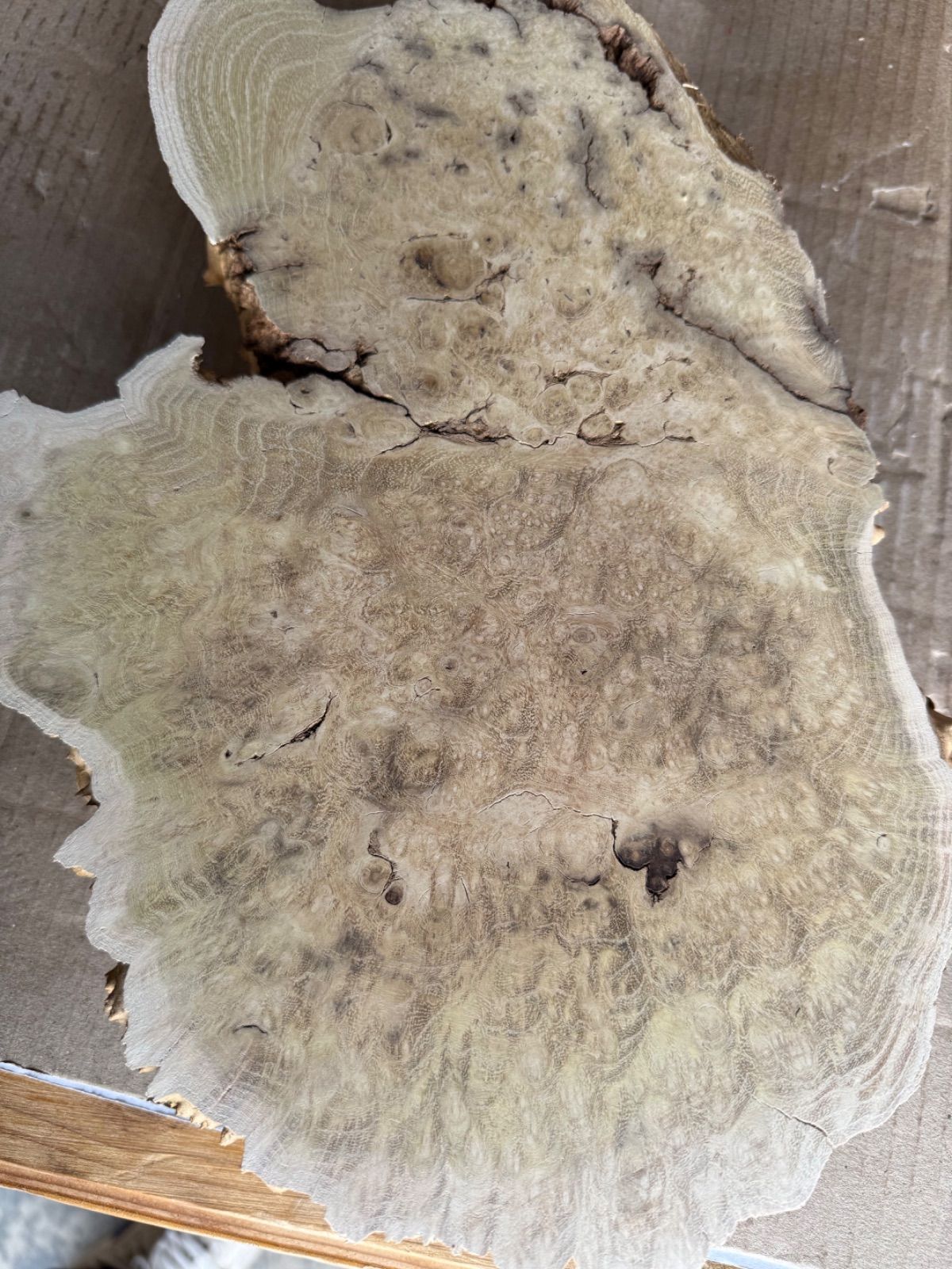 一枚板 ウッドプレート