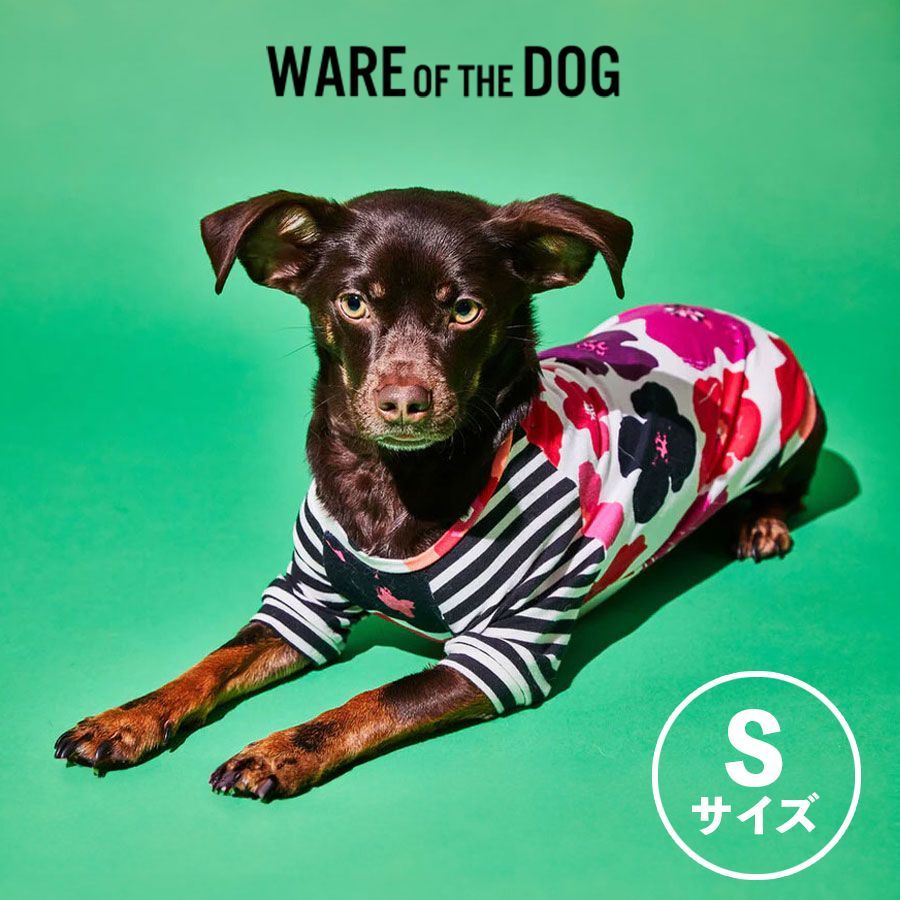 SATSUKI All in one gel 2個セット サツキ 4R9 SATSUKI All in one gel