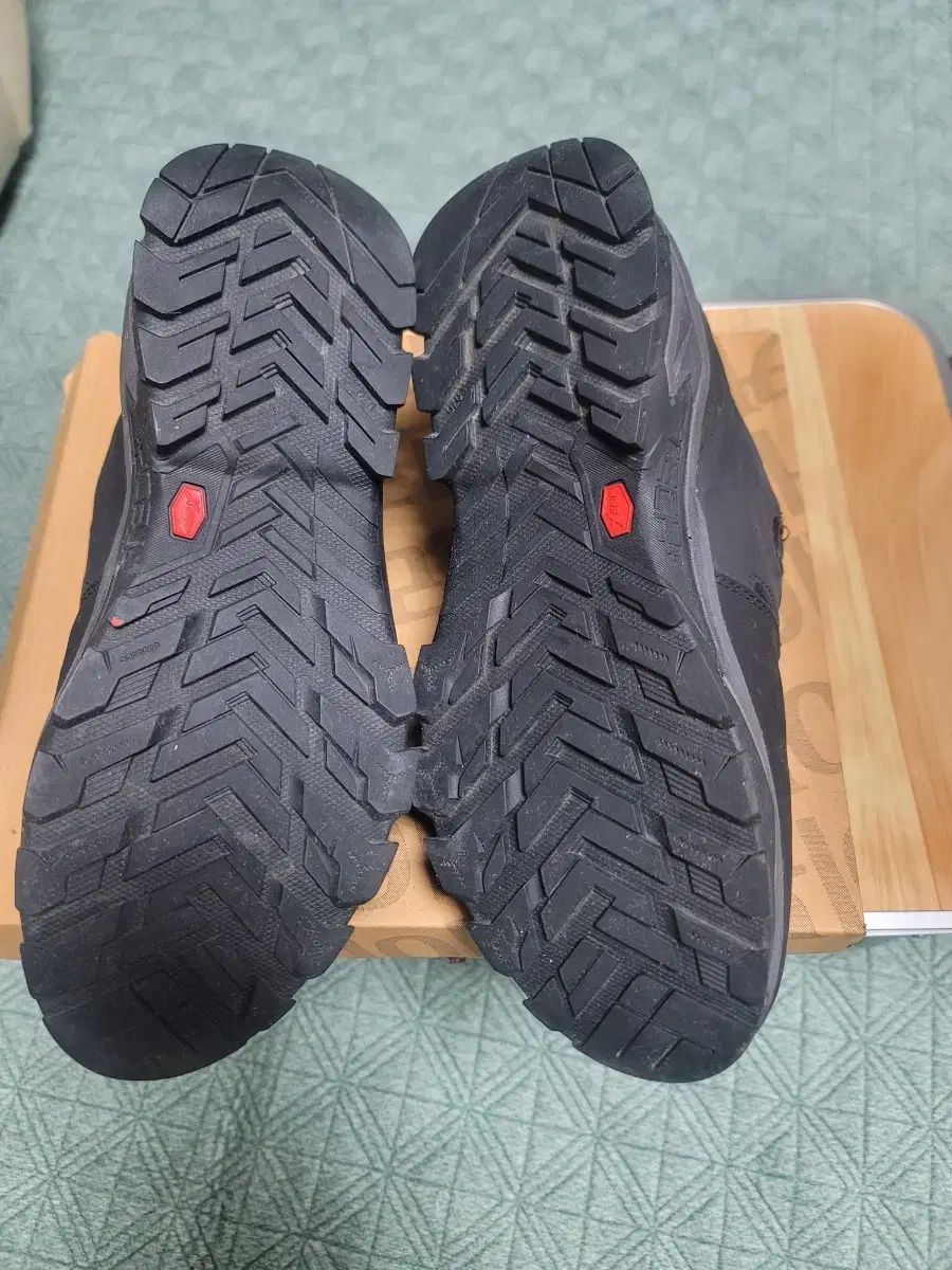 トレッキング スニーカー