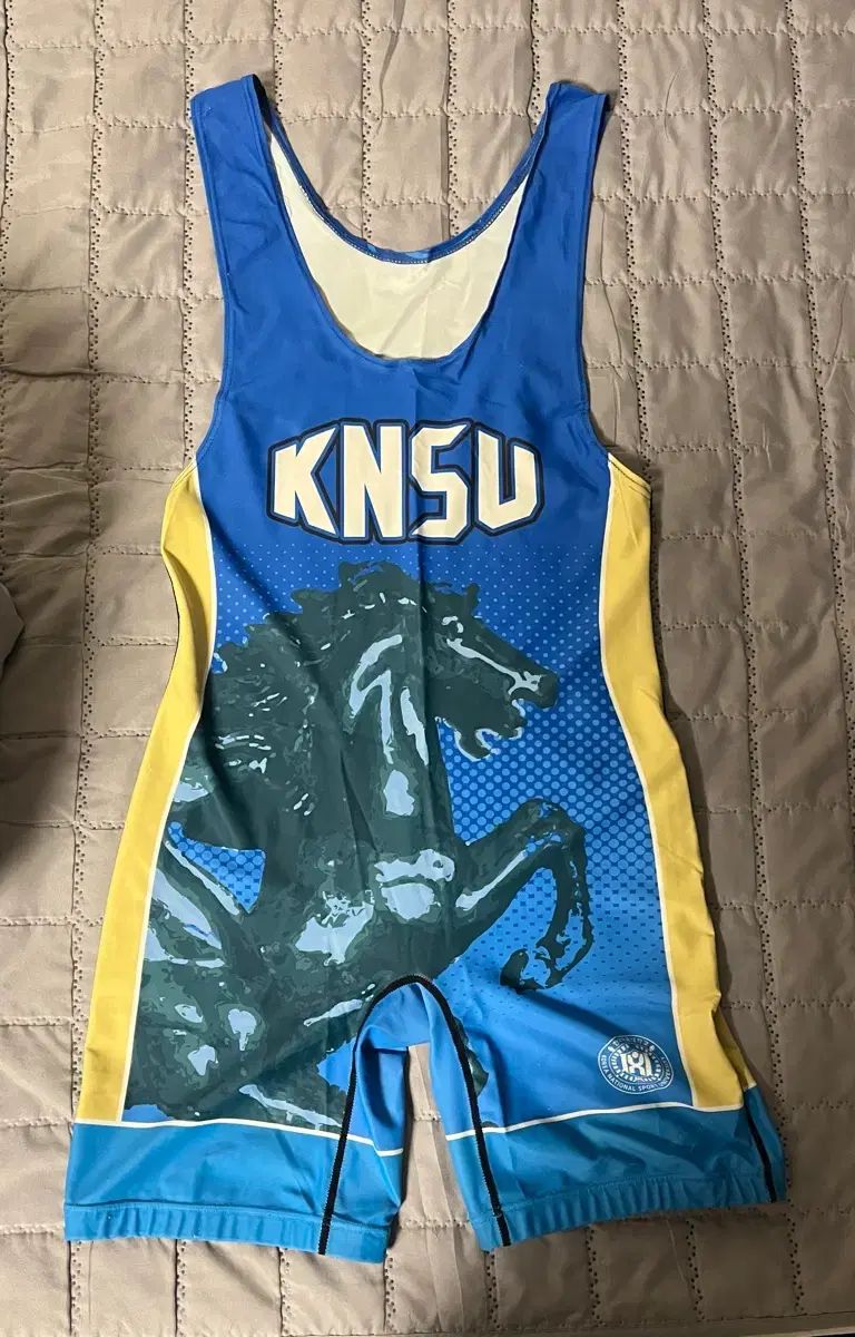 韓国 かんこく 체대 チェデ レスリング 시합복 シハプボク ブルー