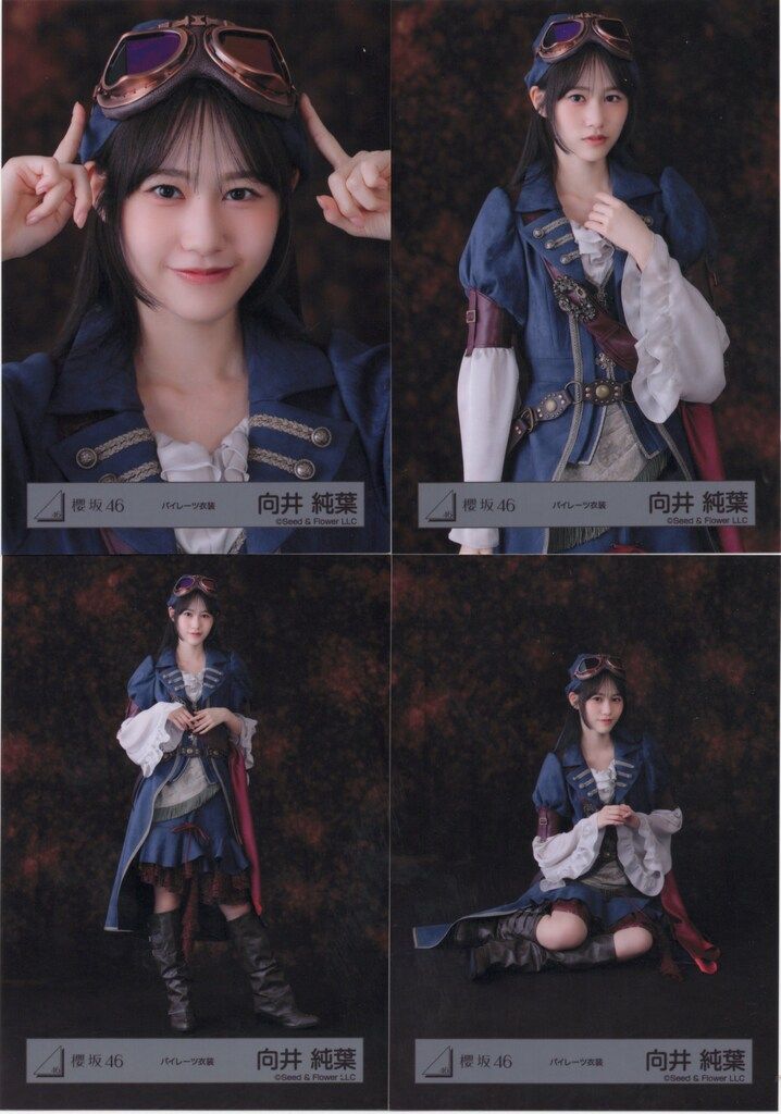 櫻坂46 2025年10月生写真 向井純葉 パイレーツ衣装 コンプ - メルカリ