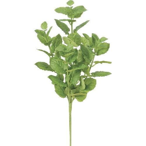 アスカ Asca ミント A 43206 051 入数 12