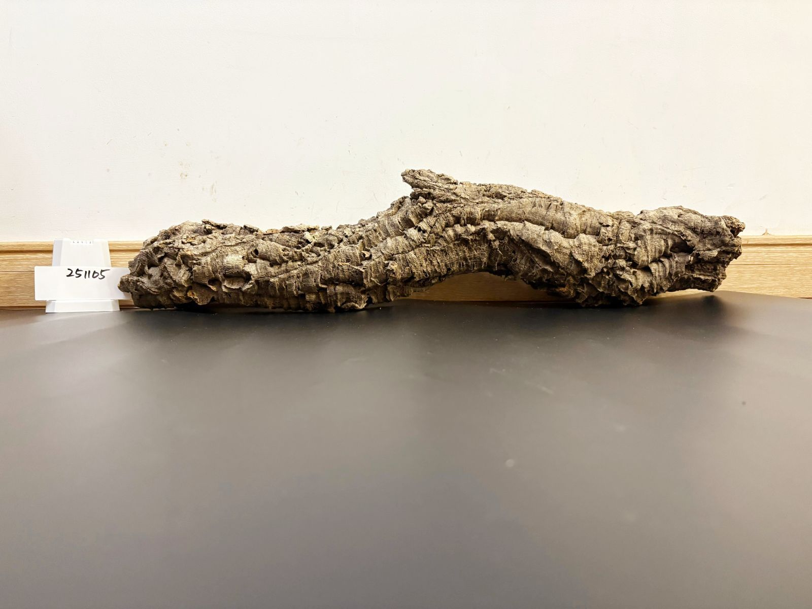 251105 ポルトガル産 キャノンコルク コルク樹皮 コルク板 バージン