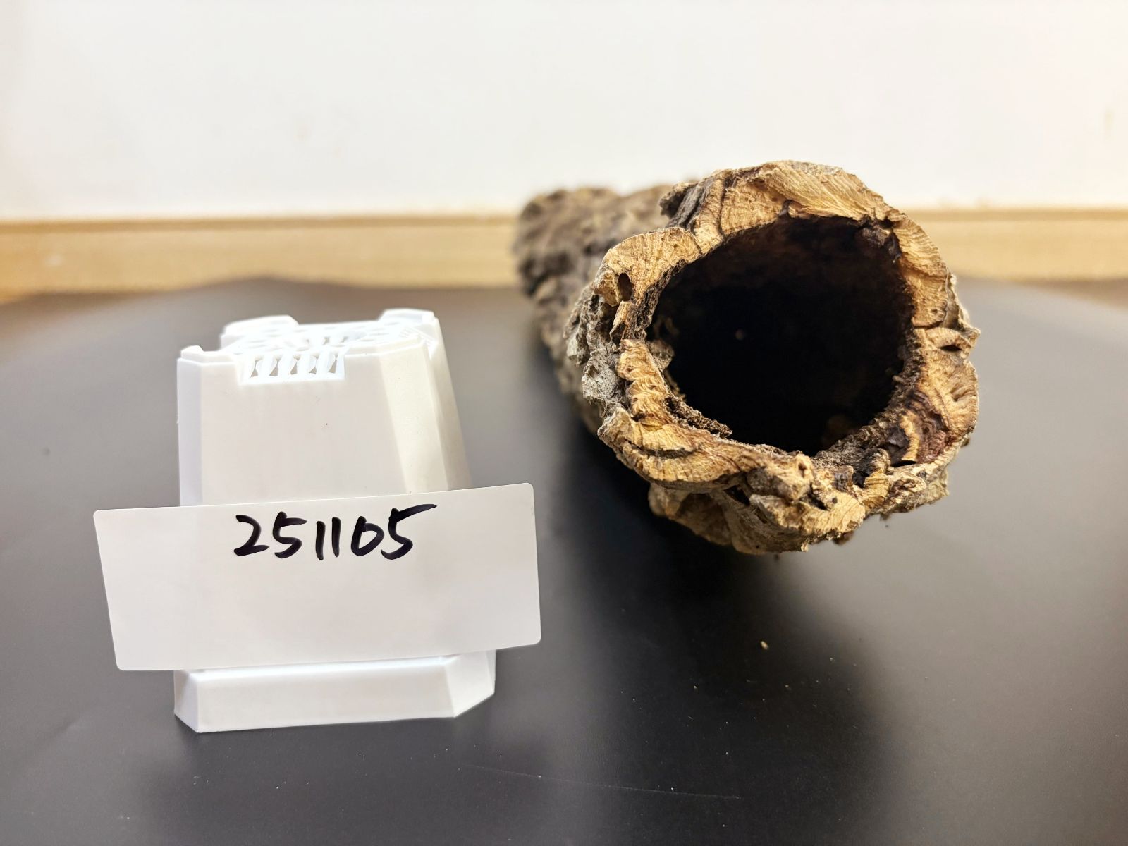 251105 ポルトガル産 キャノンコルク コルク樹皮 コルク板　バージンコルク 251105 ポルトガル産 キャノンコルク コルク樹皮 コルク板 バージン