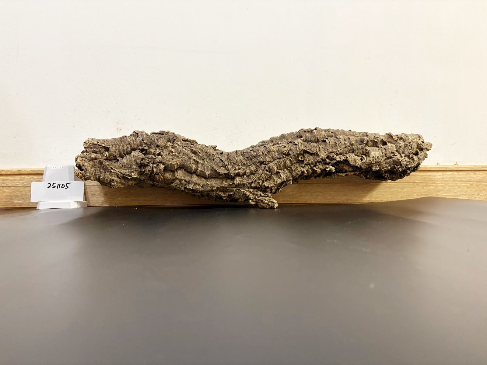 251105 ポルトガル産 キャノンコルク コルク樹皮 コルク板 バージン