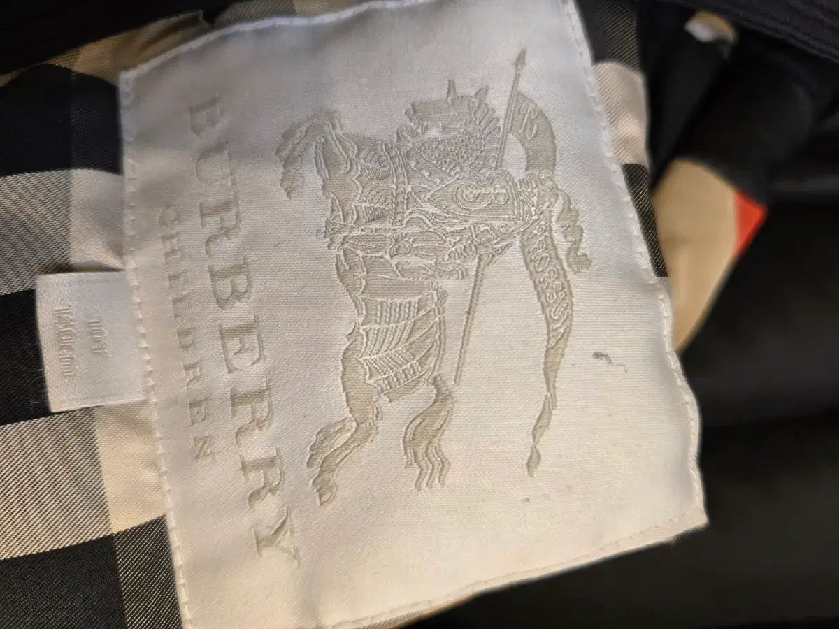  バーバリーキッズ フードダウンジャケット その他 ジャケット ブルゾン