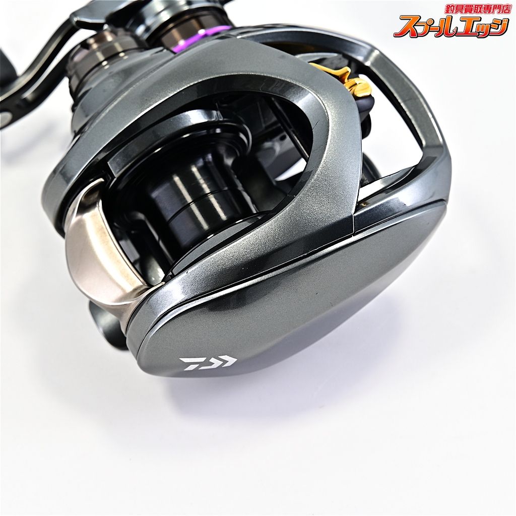  ダイワ 19スティーズ CT SV DAIWA STEEZ m 43118 ベイトリール(ルアー用) リール