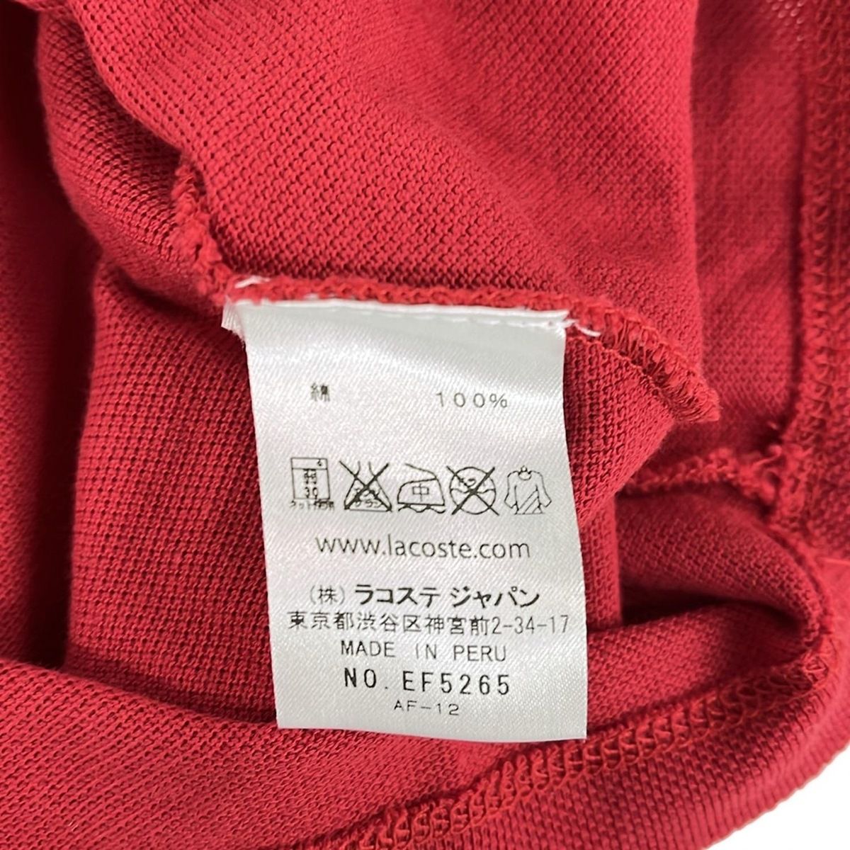 白 クルーネック