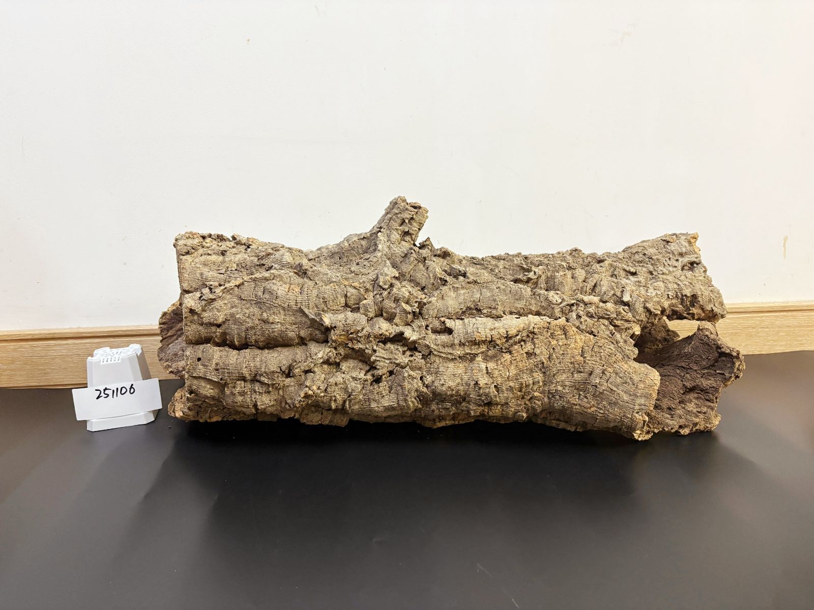 251106 ポルトガル産 キャノンコルク コルク樹皮 コルク板 バージン