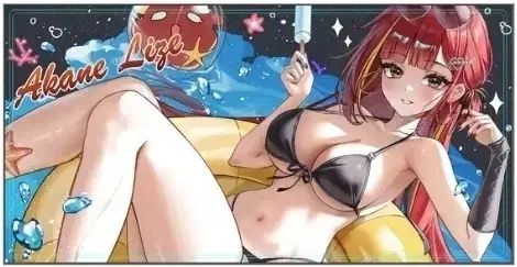 ステルライブ アカネライズ 大型 ロングパッド