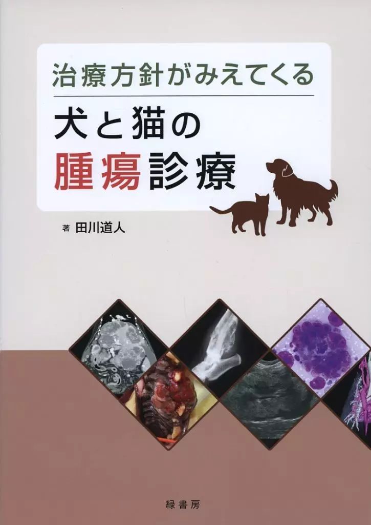 犬と猫の腫瘍学　日本語版　Small Animal Oncology　獣医 犬と猫の腫瘍学 日本語版 Small Animal Oncology 獣医 犬と猫
