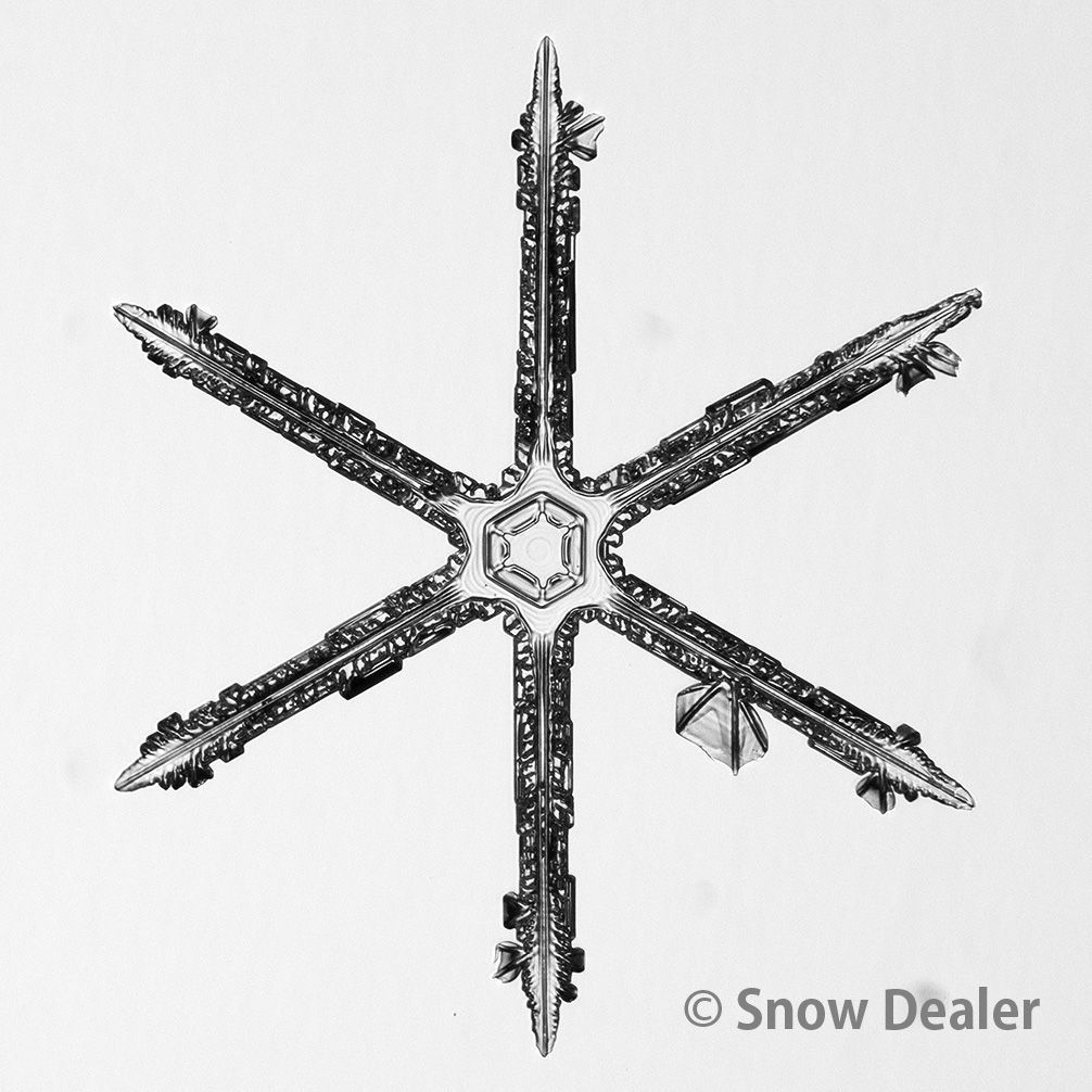 SEIKO SUSHI 時計 赤色 中型 SBSA 105