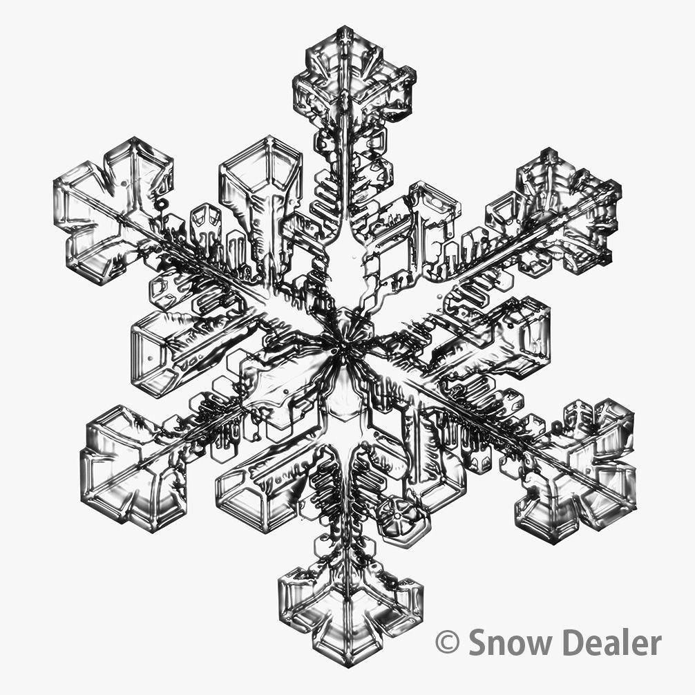 キラキラ☆プリキュアアラモード全巻＋映画