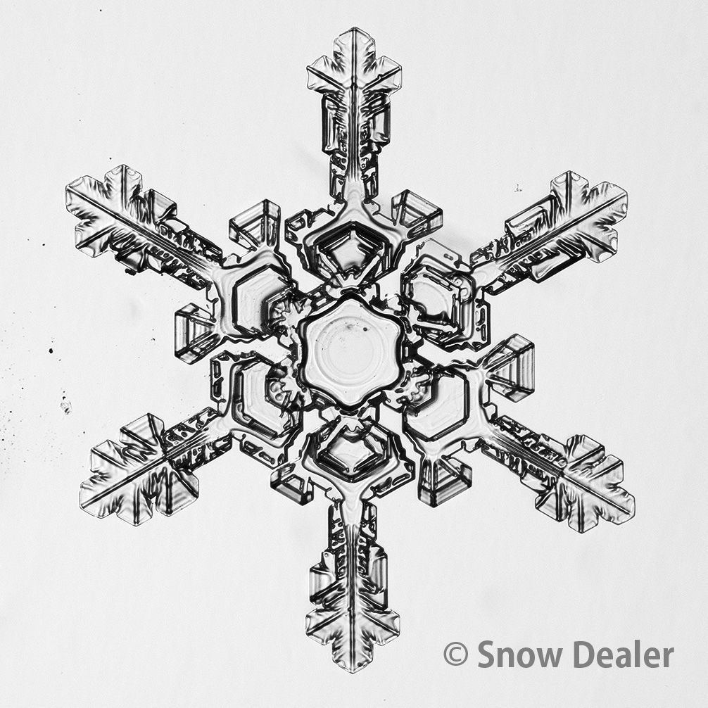 雪の結晶の化石【高精細雪結晶レプリカ（Bランク） P23145】 - メルカリ