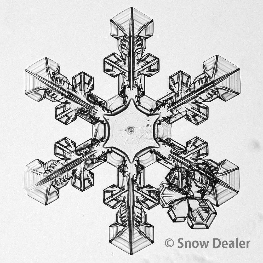 セット】月が導く異世界道中 コミック 1-15巻セット (アルファポリス
