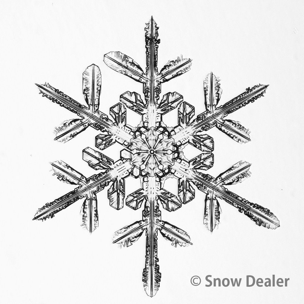 メル82601様専用 盆栽宝石、石付き金盆栽宝石、真鍮盆栽、風水盆栽