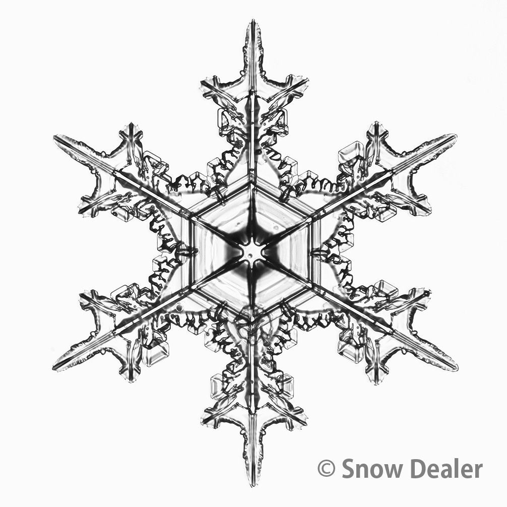 讃佛の頌 穐月明 額 地蔵菩薩