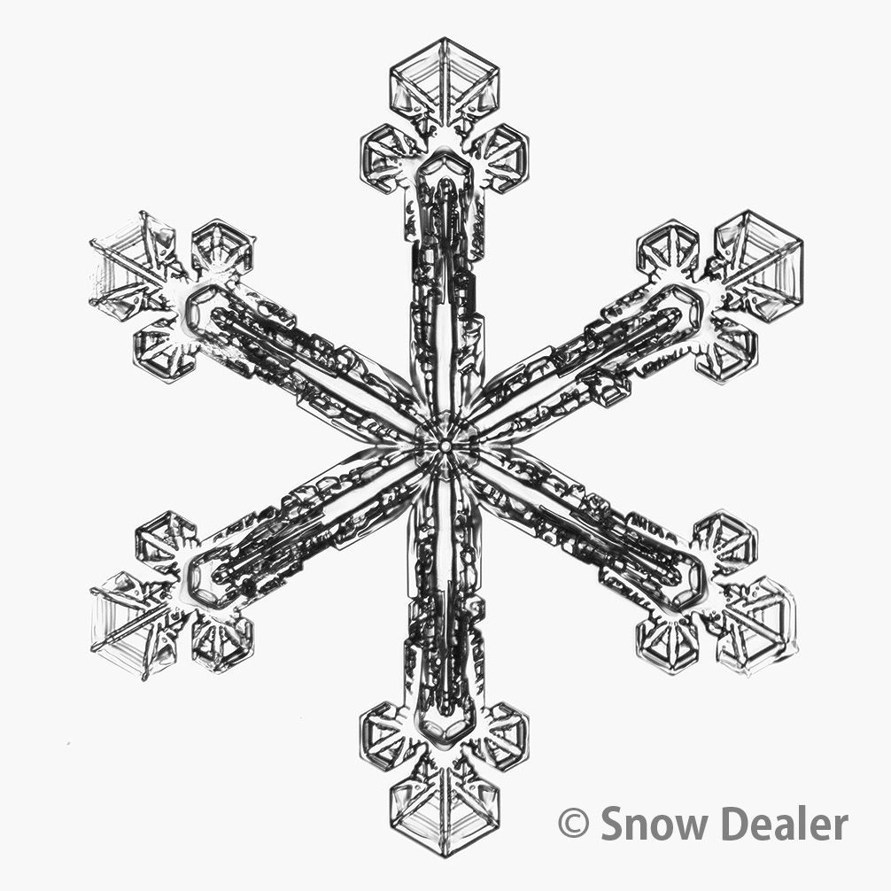 九谷焼 西谷加陽作 毛筆細字古今和歌集 飾瓶 花瓶 壷 共箱共布 V856