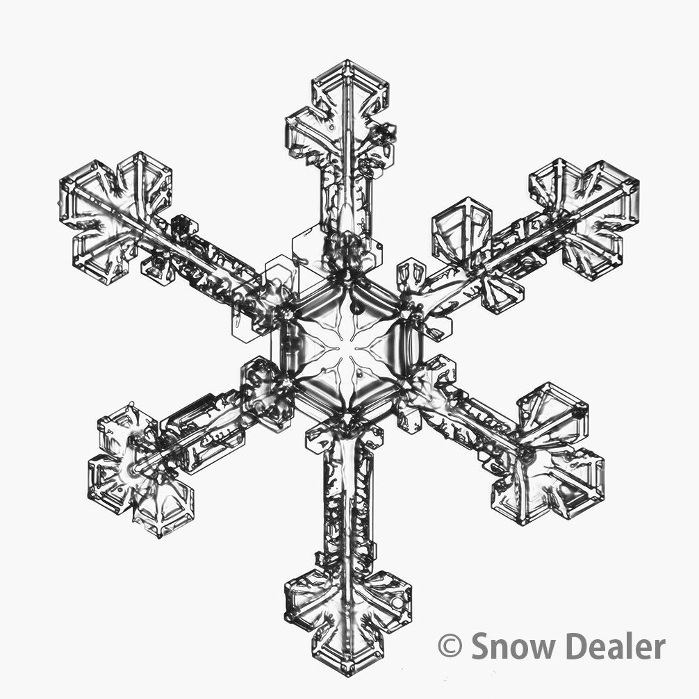 ミズノ　アルファ3 JAPAN 27.5cm スズキ スペーシア ギア 2018年12月- DIXCEL(ディクセル) ブレーキ