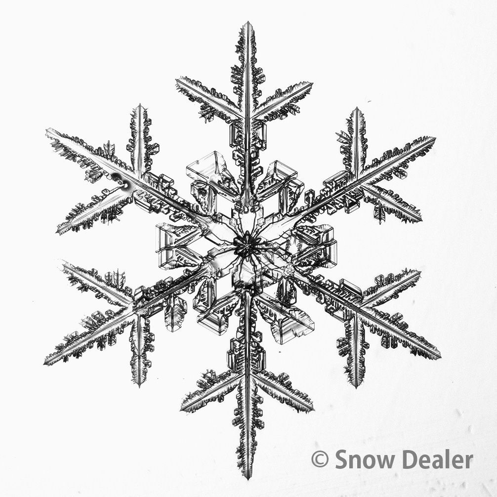 生産限定盤 XTC 紙ジャケット10枚セット