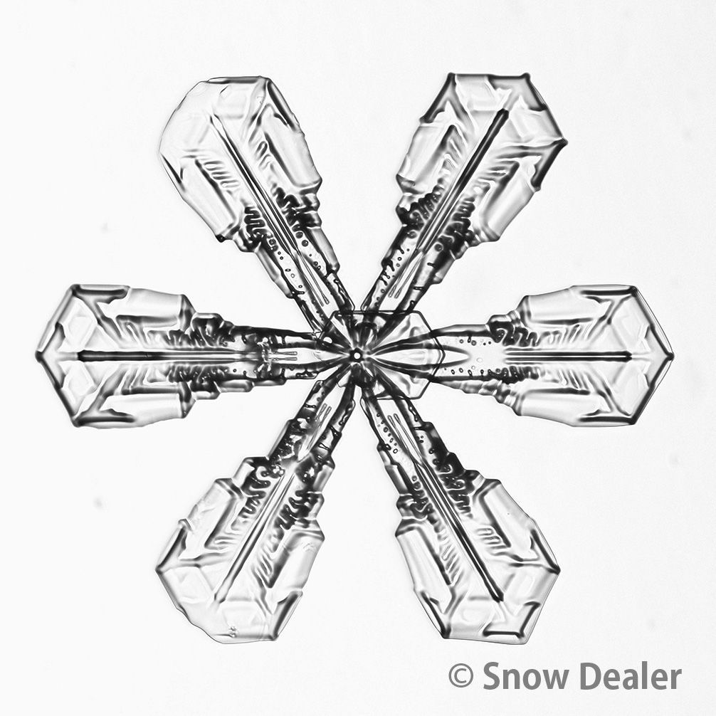 雪の結晶の化石【高精細雪結晶レプリカ（Bランク） P22153】