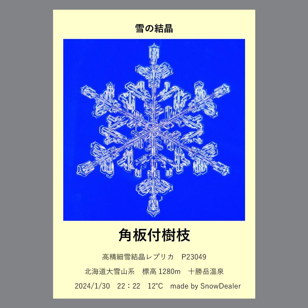 雪の結晶の化石【高精細雪結晶レプリカ（Aランク） P23049】 - メルカリ
