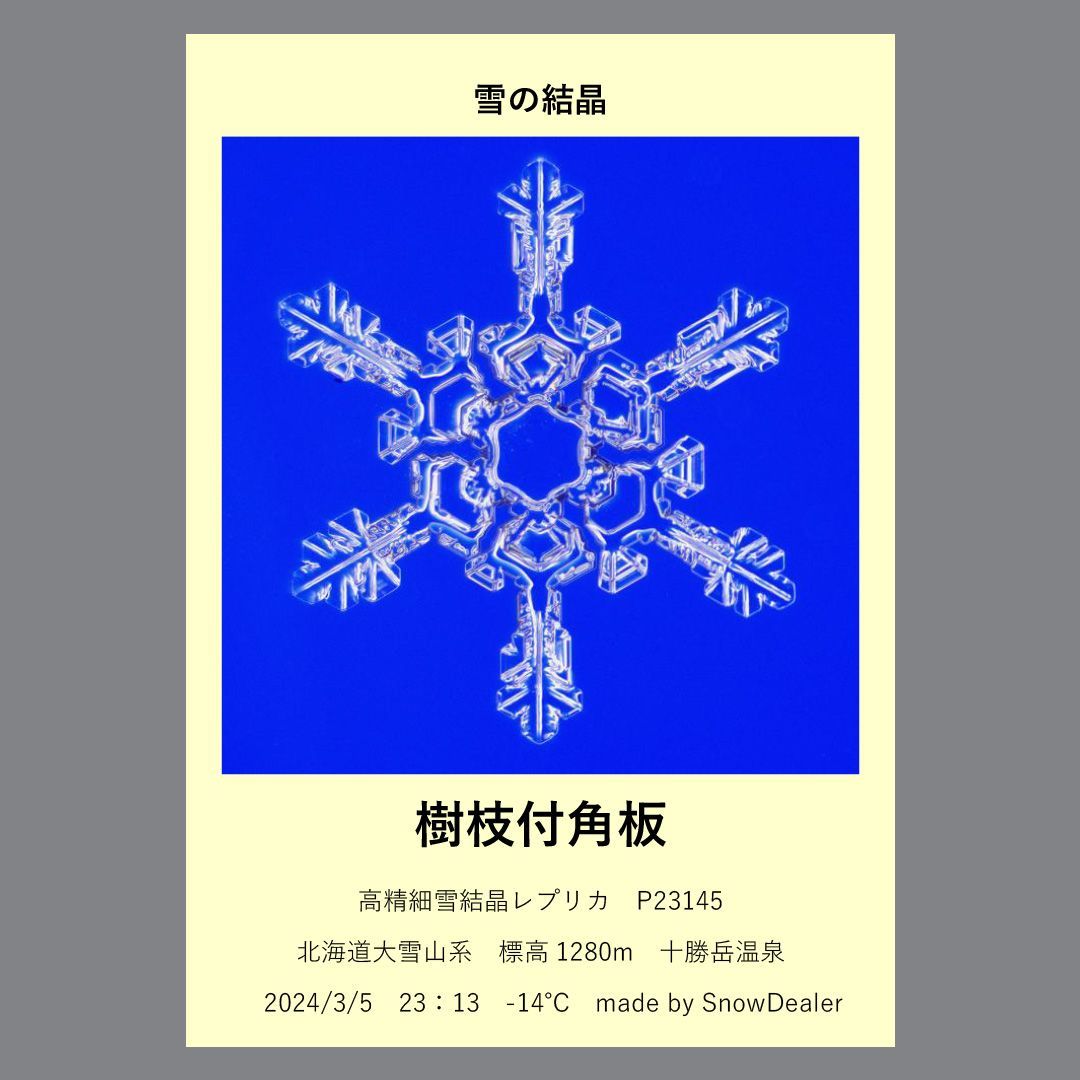 雪の結晶の化石【高精細雪結晶レプリカ（Bランク） P23145】 - メルカリ