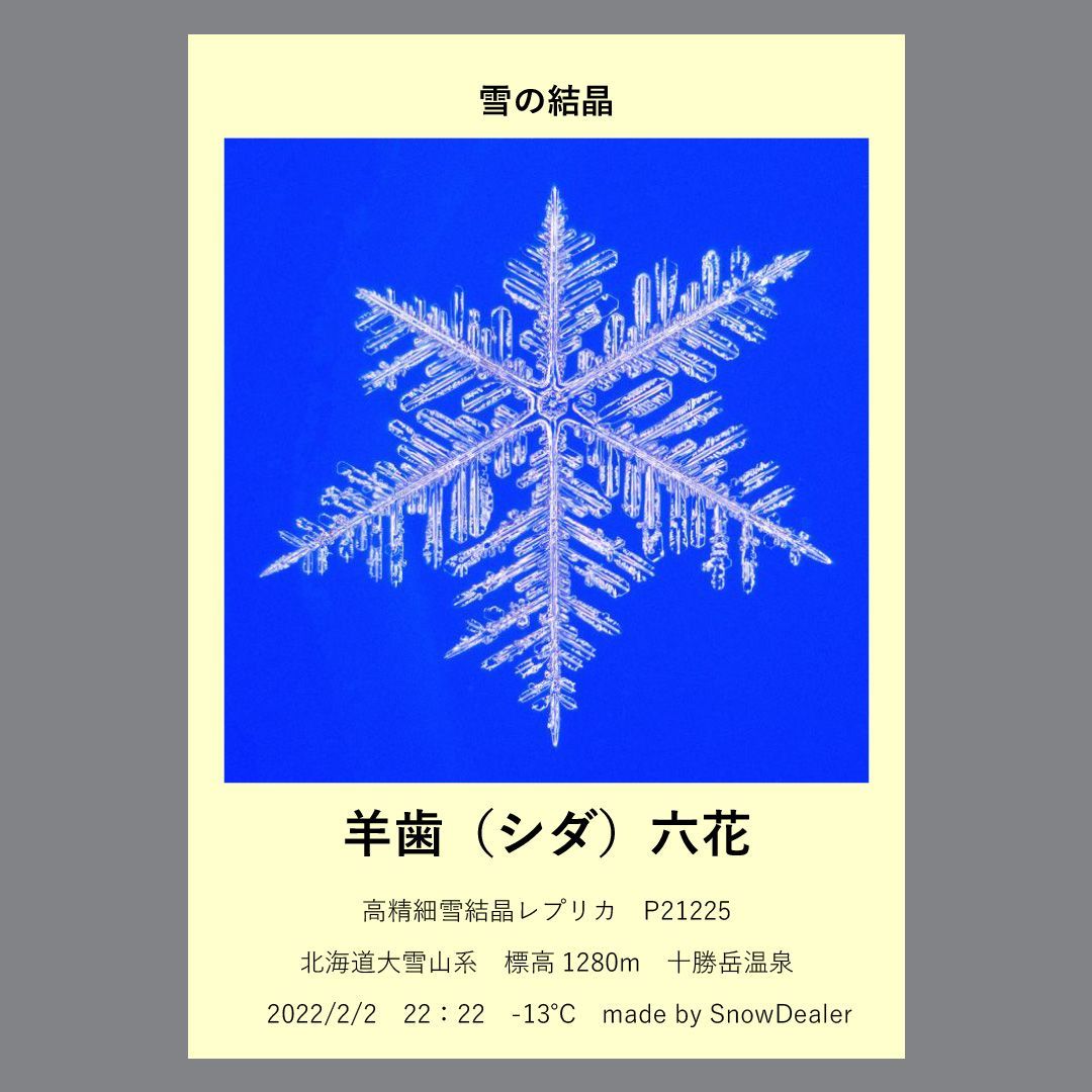 雪の結晶の化石【高精細雪結晶レプリカ（Bランク） P21225】 【公式通販】