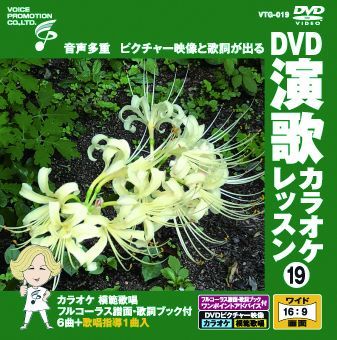 音声多重 DVD演歌 カラオケレッスン019（VTG-019） - メルカリ