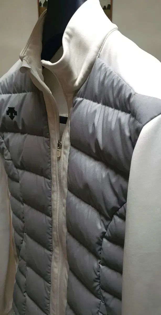 DESCENTE ゴルフ 軽量 グースダウン SWING ダウン その他 メンズウェア ゴルフ