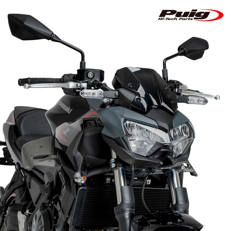 Puig 22472 C D 12 CARBON LOOK Z 650 20 プーチ スポイラー
